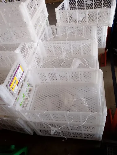 Caixas de plástico