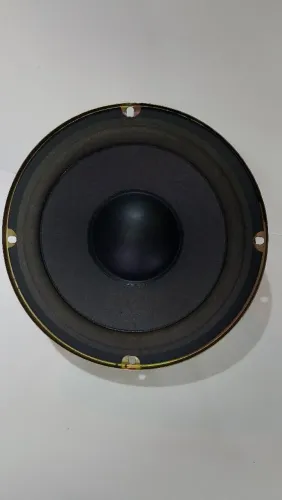 Alto Falante Woofer/ Subwoofer 8 Polegadas Aiwa