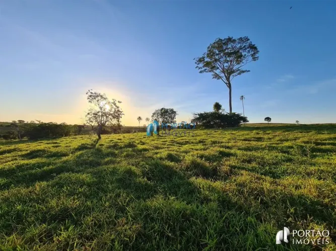 Fazenda em Rural, (Cafelândia) - SP