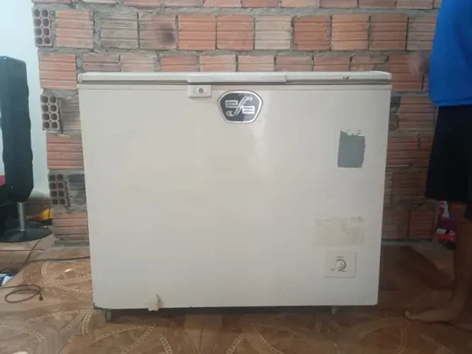 Freezer Electrolux 