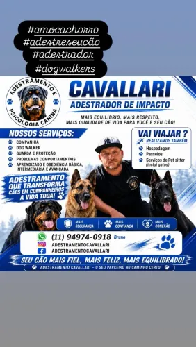 Adestrador de cães