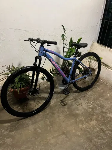 Bike aro 29