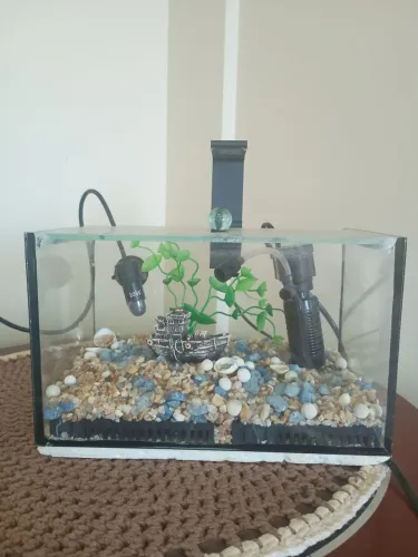 Aquário 10 litros 