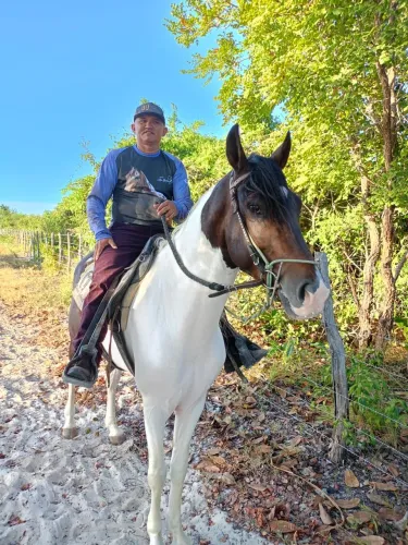 Cavalo Mangalarga Marchador Puro