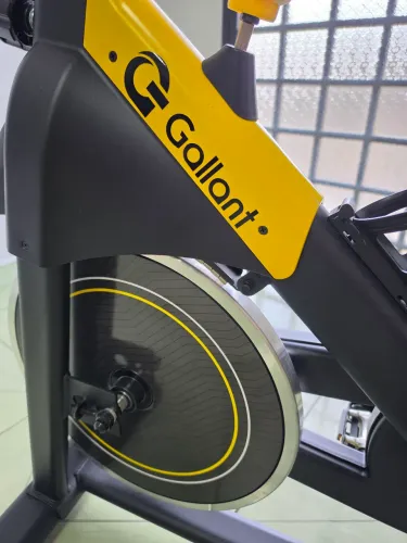 BICICLETA ERGOMETRICA MAGNETICA GALLANT ELITE 13KG