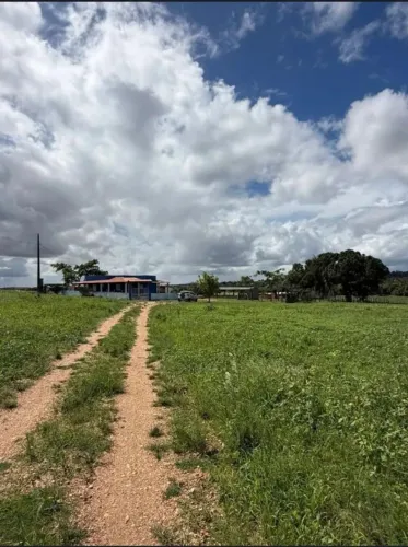  Vende-se excelente fazenda em Lagarto 