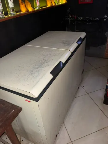 Freezer horizontal 2 portas