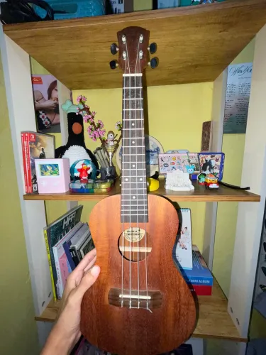 Ukulele Harmonics