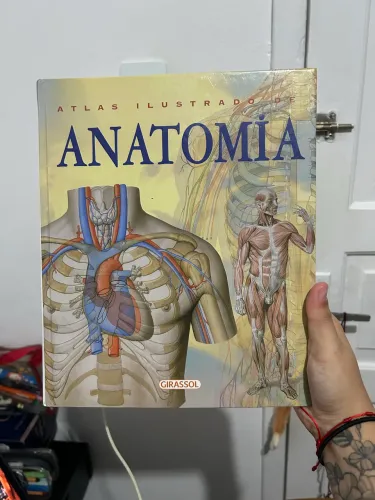livro atlas ilustrado de anatomia girassol