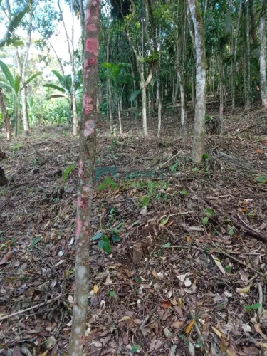 Chácara / Terreno