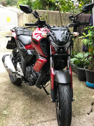Fz15 2024