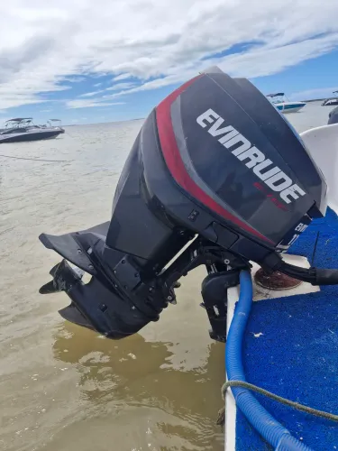 Motor de papa Evinrude Etec 115