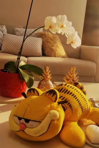 Garfield de Pelúcia Grande Deitado - Anos 2000