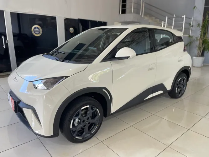 BYD Dolphin Mini (Elétrico) 2027
