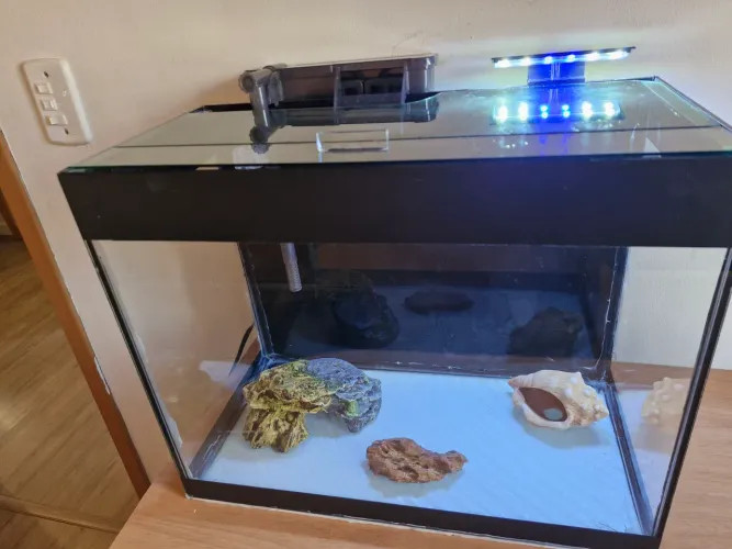 Aquario completo 60 litros