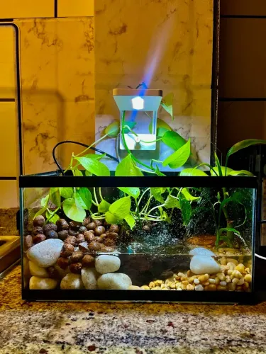 AQUÁRIO COM JARDIM E CASCATA!