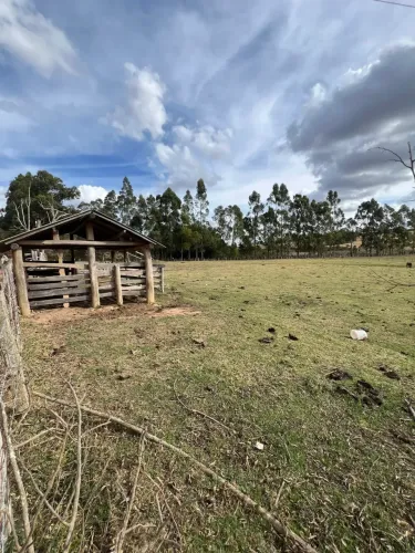Oportunidade a venda