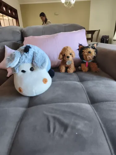 Kit pelucias cachorrinhis e burrinhos