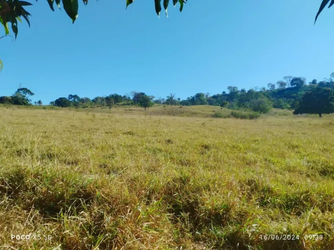 Fazenda em Goianira 20 alqueires, com sede e cultura R$:7 milhões