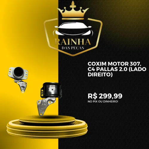 Coxim Motor 307, C4 Pallas 2.0 (Lado Direito)