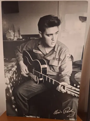 Quadro Decorativo: Elvis Presley