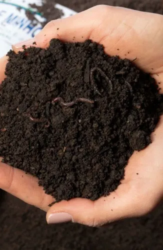 Humus puro de minhoca 4,00 o litro