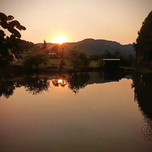 Sítio bairro Linha Olinda, Nova Petropólis.RS REF: 413