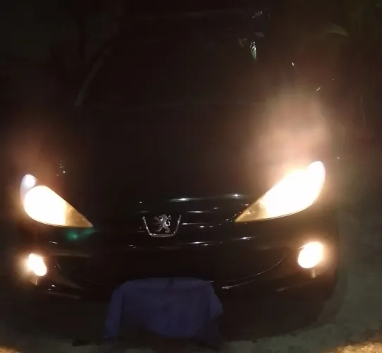 Peugeot 206 Allure 1.6 Flex 16V 5P 2008