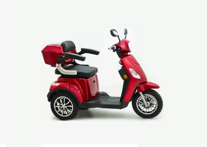 Triciclo Plus Sousa - Am