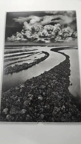 Arte Sebastião Salgado - Ilhas Anavilhanas (Com Certificado)