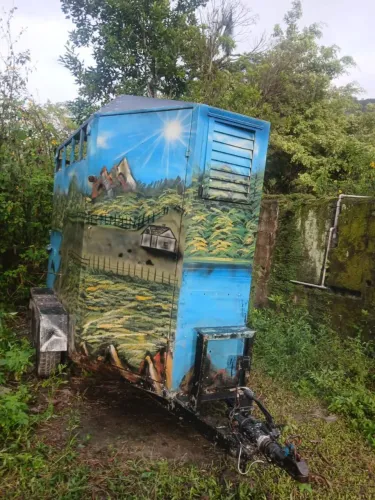 Vendo carreta p 2 cavalos