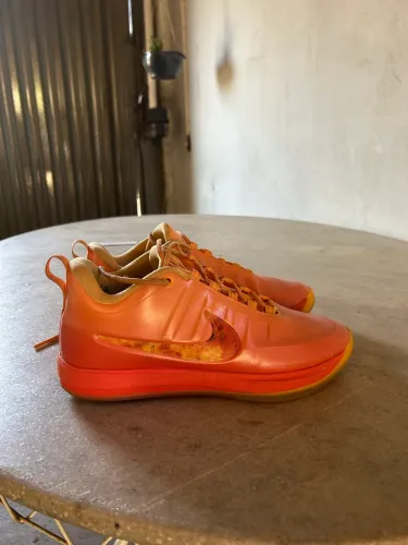 Vende se, Nike book 2