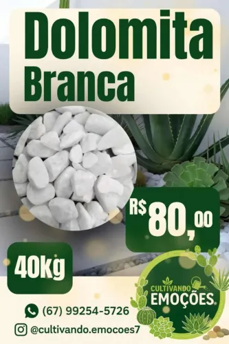 Pedras ornamentais para jardim 