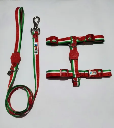 Kit Passeio Peitoral Guia Mymos Pets