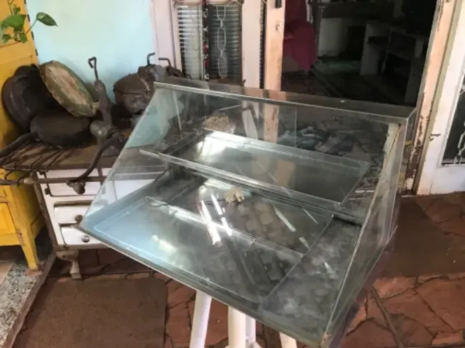 Estufa p salgados c bandeijas inox