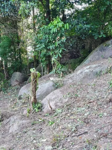 Terreno à venda, 4582 m² por R$ 2.900.000 - Camorim - Rio de Janeiro/RJ