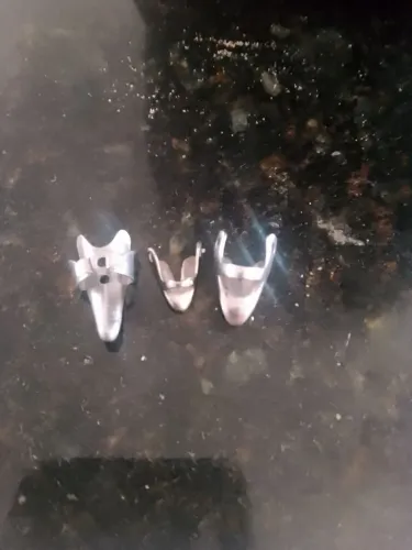 3 bicos de galo 2 de Sima 1 de baixo 