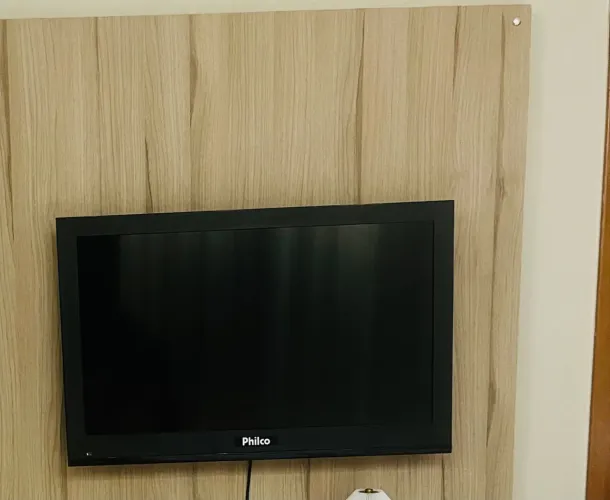 Televisão 29 polegadas