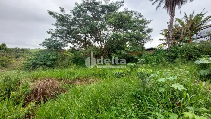 Terreno disponível para locação no bairro Shopping Park em Uberlândia - MG