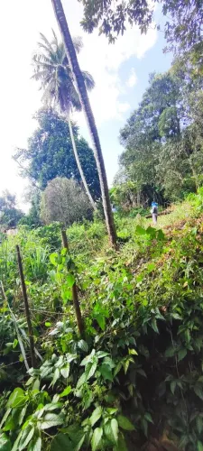 Lotes à venda ( Próximo a pista do derba / próximo ao novo VLT ).