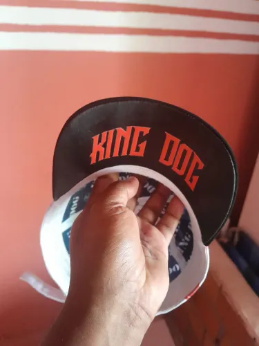 Bone king dog troco ou vendo