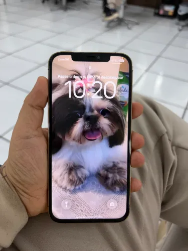 iPhone 12 Pro Max 128