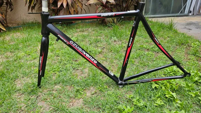 Quadro Speed Venzo Tam. M