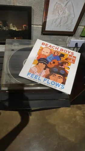 Vinil disco lp novo the beach boys n Beatles rolling stones queen clube esquina country um