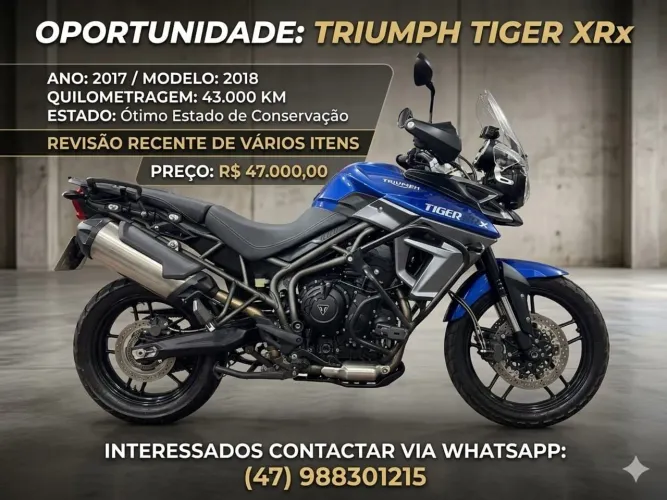 Triumph Tiger XRX 800
