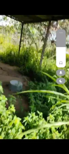 Sítio no ramal são Pedro km 64<br><br>Tamanho 40 de frente 500 de fundo<br><br>Valor 12 mil