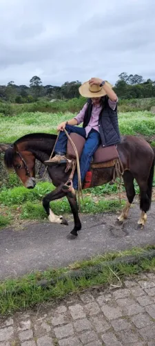 Égua crioula 6 anos, registrado, da rio bonito. Égua muito top