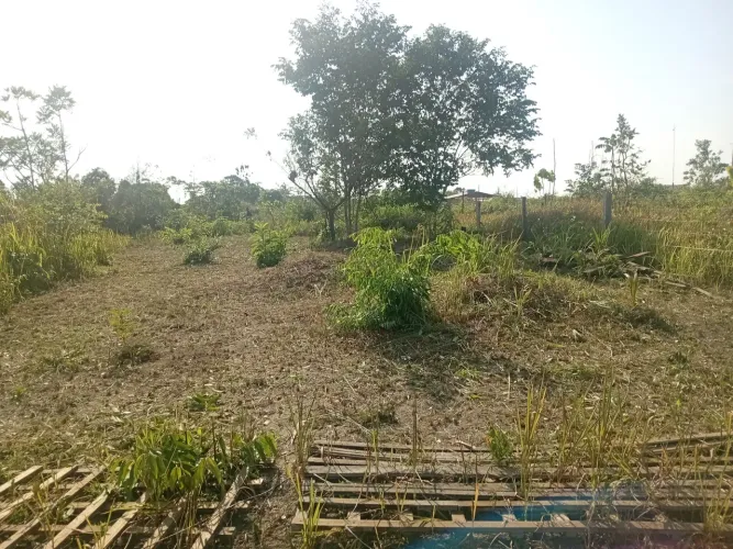 Terreno