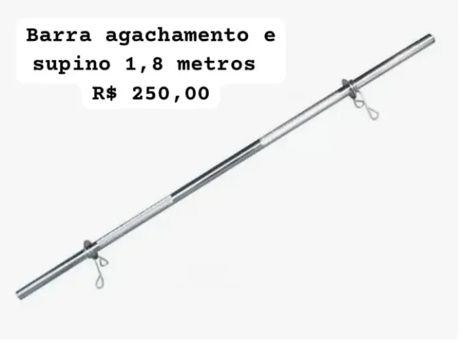 Barra agachamento academia