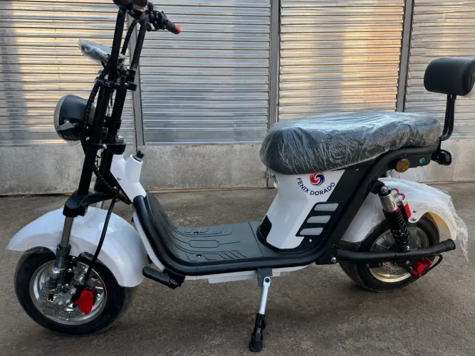 Moto elétrica